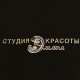 491 Фирменная символика